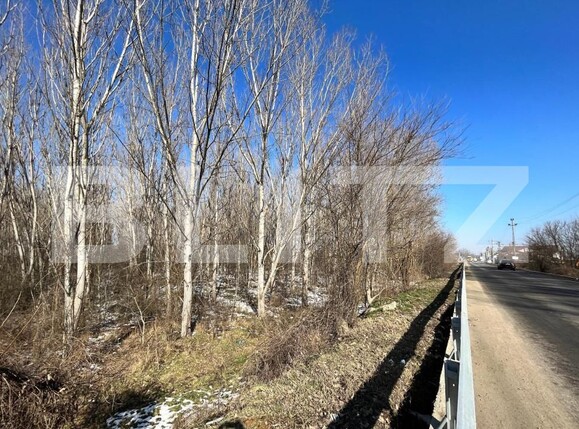 Teren de vânzare Bucovat - 127710TV | BLITZ Craiova | Poza3