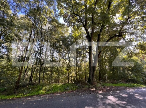 Teren de vânzare Bucovat - 127710TV | BLITZ Craiova | Poza14