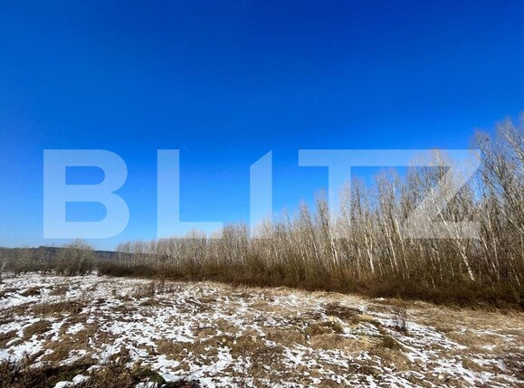 Teren de vânzare Bucovat - 127710TV | BLITZ Craiova | Poza2