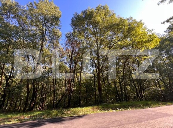 Teren de vânzare Bucovat - 127710TV | BLITZ Craiova | Poza13