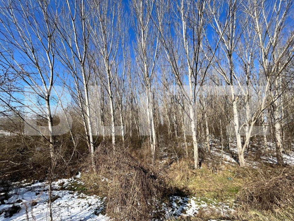 Teren de vânzare Bucovat - 127710TV | BLITZ Craiova | Poza9