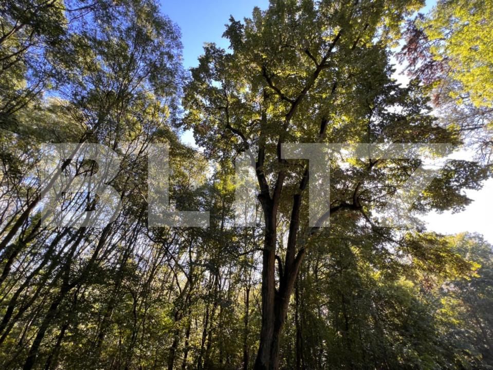 Teren de vânzare Bucovat - 127710TV | BLITZ Craiova | Poza11