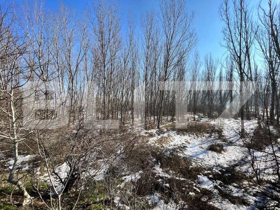 Teren de vânzare Bucovat - 127710TV | BLITZ Craiova | Poza10