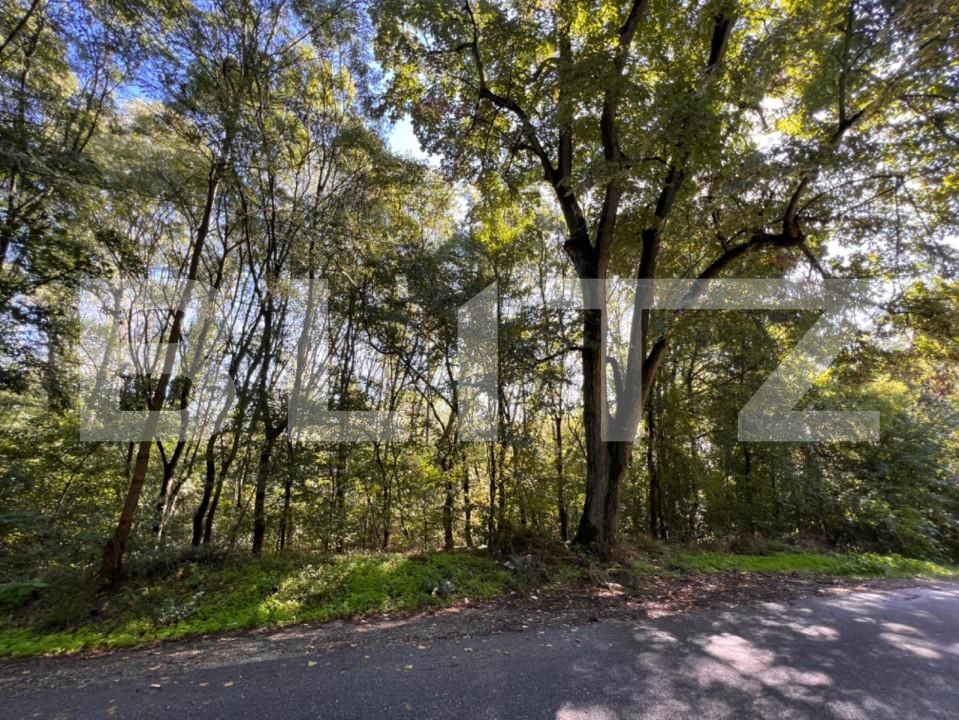 Teren de vânzare Bucovat - 127710TV | BLITZ Craiova | Poza14