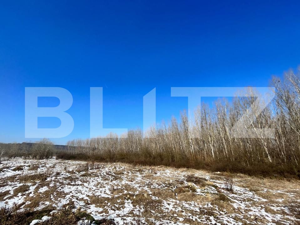 Teren de vânzare Bucovat - 127710TV | BLITZ Craiova | Poza2