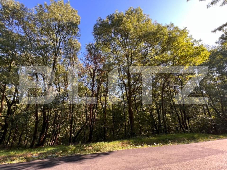 Teren de vânzare Bucovat - 127710TV | BLITZ Craiova | Poza13