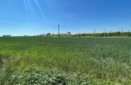 Teren 25.000 mp, intravilan arabil, zona Qfort