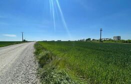 Teren 25.000 mp, intravilan arabil, zona Qfort