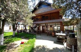 Teren, 4,5 ha, 8 hale de 16.000 mp utilitățile, Brădești