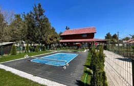 Teren, 4,5 ha, 8 hale de 16.000 mp utilitățile, Brădești