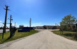 Teren, 4,5 ha, 8 hale de 16.000 mp utilitățile, Brădești