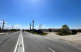 Teren, 4,5 ha, 8 hale de 16.000 mp utilitățile, Brădești