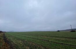 Teren intravilan pretabil parc fotovoltaic, 41.000 mp, Ișalnița - E70