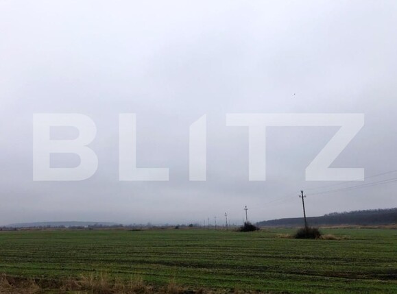 Teren de vânzare Isalnita - 127766TV | BLITZ Craiova | Poza5
