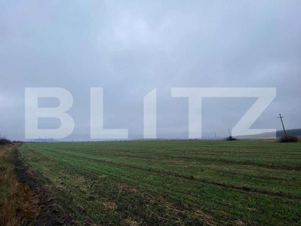 Teren de vânzare Isalnita - 127766TV | BLITZ Craiova | Poza8