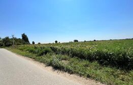 Teren intravilan, 10.000 mp, toate utilitățile, asfalt