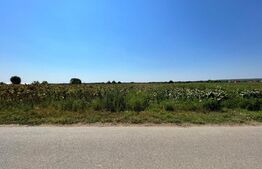 Teren intravilan, 10.000 mp, toate utilitățile, asfalt