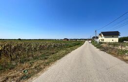 Teren intravilan, 10.000 mp, toate utilitățile, asfalt