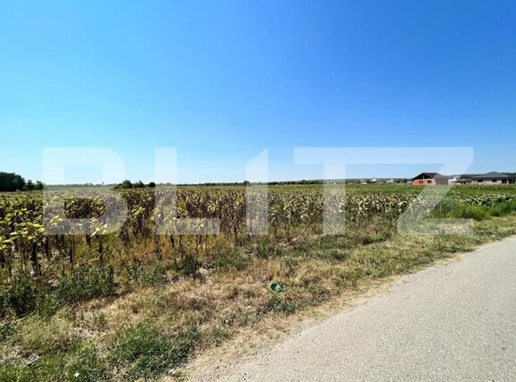 Teren de vânzare Branişte (Podari) - 127767TV | BLITZ Craiova | Poza4