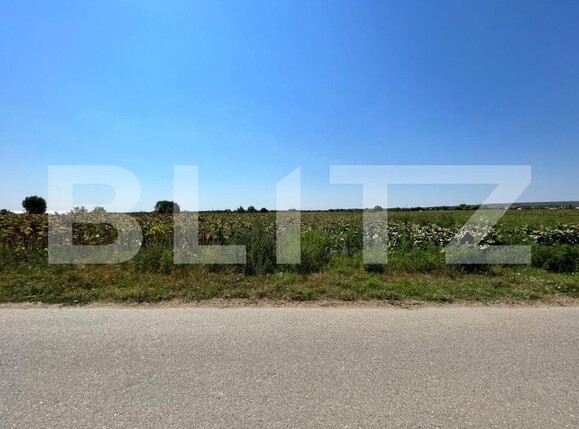 Teren de vânzare Branişte (Podari) - 127767TV | BLITZ Craiova | Poza2