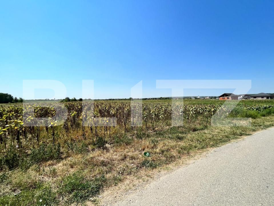 Teren de vânzare Branişte (Podari) - 127767TV | BLITZ Craiova | Poza4