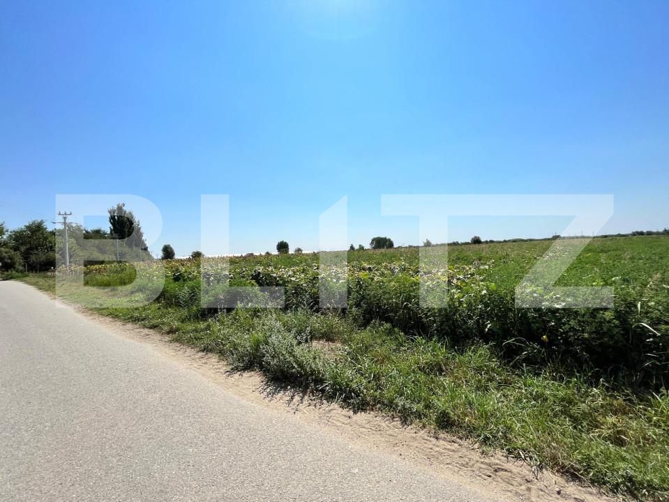 Teren de vânzare Branişte (Podari) - 127767TV | BLITZ Craiova | Poza5