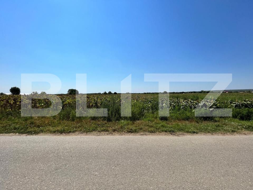 Teren de vânzare Branişte (Podari) - 127767TV | BLITZ Craiova | Poza2