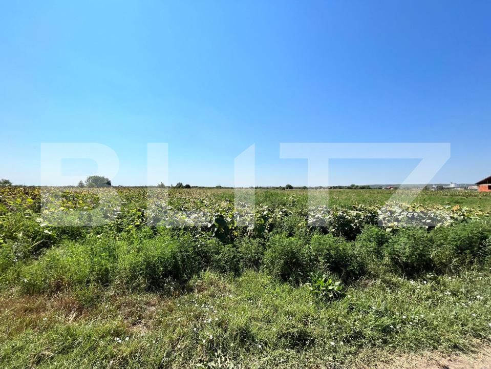 Teren de vânzare Branişte (Podari) - 127767TV | BLITZ Craiova | Poza3