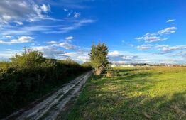 Teren extravilan 15.000 mp, cartier Popoveni