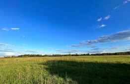 Teren extravilan 15.000 mp, cartier Popoveni