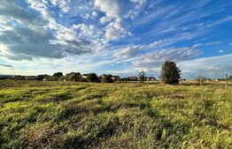  Teren extravilan, 15.000 mp cu front 131 m, cartier Popoveni 