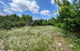 Teren intravilan 1.450 mp, Centru