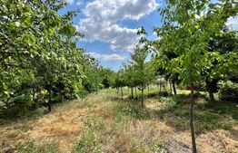 Teren intravilan 1.450 mp, Centru