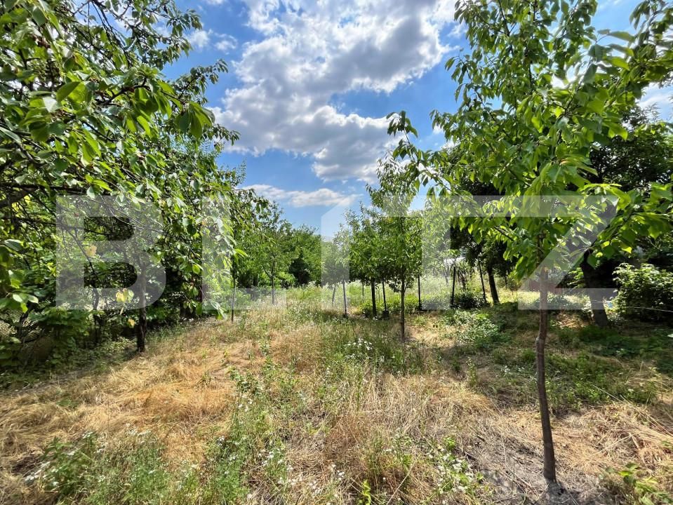 Teren de vânzare Central - 127771TV | BLITZ Craiova | Poza8