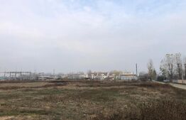 Teren intravilan, 24000 mp, front de 153 ml, Calea Severinului