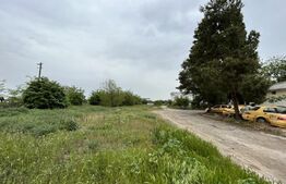  Teren intravilan 12.490 mp, toate utilitățile, drum asfaltat, Brestei 