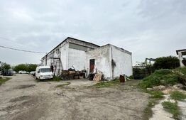  Teren intravilan 12.490 mp, toate utilitățile, drum asfaltat, Brestei 