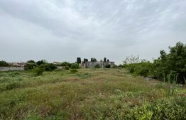  Teren intravilan 12.490 mp, toate utilitățile, drum asfaltat, Brestei 