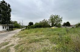  Teren intravilan 12.490 mp, toate utilitățile, drum asfaltat, Brestei 