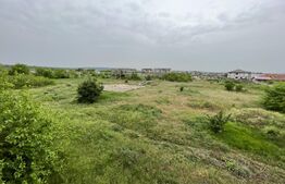  Teren intravilan 12.490 mp, toate utilitățile, drum asfaltat, Brestei 