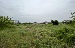  Teren intravilan 12.490 mp, toate utilitățile, drum asfaltat, Brestei 