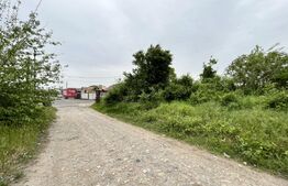  Teren intravilan 12.490 mp, toate utilitățile, drum asfaltat, Brestei 