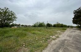  Teren intravilan 12.490 mp, toate utilitățile, drum asfaltat, Brestei 