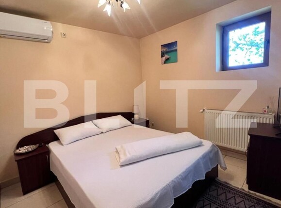 Spațiu comercial de vânzare Pielești - 127789SVC | BLITZ Craiova | Poza14