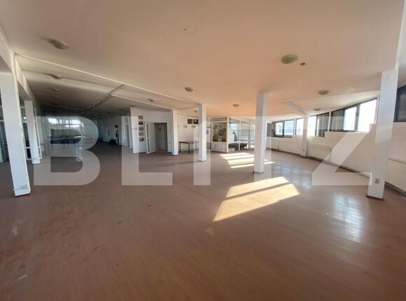 Spațiu birouri de închiriat Lapus - 127830SIB | BLITZ Craiova | Poza5