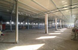 Hala industriala, 1200 mp, zona Bordei
