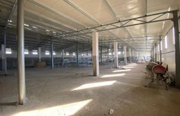 Hala industriala, 1200 mp, zona Bordei