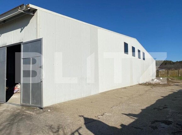 Spațiu industrial de închiriat Bariera Valcii - 127851SII | BLITZ Craiova | Poza3