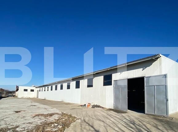 Spațiu industrial de închiriat Bariera Valcii - 127851SII | BLITZ Craiova | Poza5