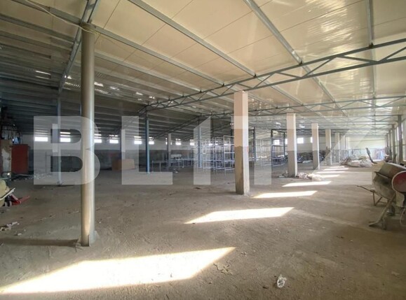 Spațiu industrial de închiriat Bariera Valcii - 127851SII | BLITZ Craiova | Poza8
